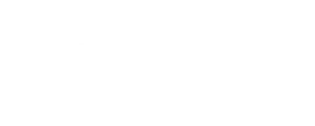 CityBee
